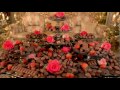 Video: Moment 4 Life